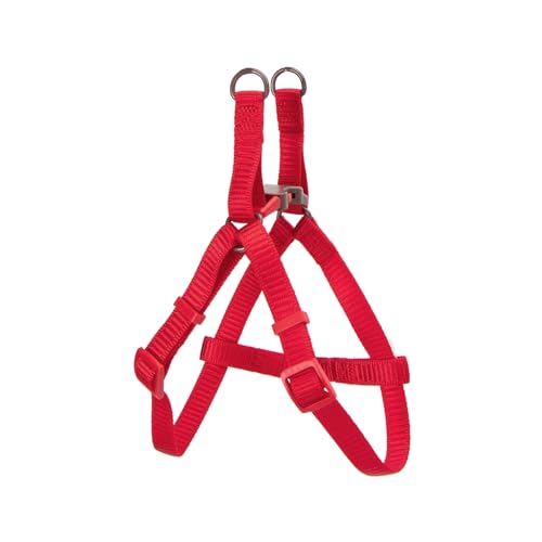 Mehrfarbiges Nylongeschirr, 4-teiliges Set, robust und leicht, ideal für Haustiere und Training. Mehrfarbiges Nylongeschirr, 4-teiliges Set, robust und leicht, ideal für Haustiere und Training. von Patapalooza