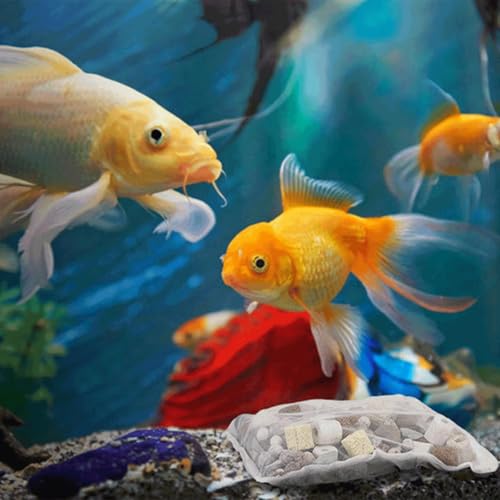 Patapalooza 12-in-1 Filterelement für Aquarien, mit Mehreren Reinigungsfunktionen und Verbesserung der Wasserqualität, ideal für die Erhaltung eines gesunden Aquariums. Patapalooza 12-in-1 Filterelement für Aquarien, mit Mehreren Reinigungsfunktionen und Verbesserung der Wasserqualität, ideal für die Erhaltung eines gesunden Aquariums. von Patapalooza