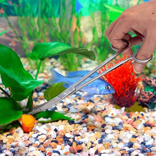 Patapalooza 4-in-1-Aquarienreinigungs-Set: Inklusive Schaber, Bürste, Schlauch und Netz, ideal für die Pflege von Aquarien und eine effiziente Reinigung. Patapalooza 4-in-1-Aquarienreinigungs-Set: Inklusive Schaber, Bürste, Schlauch und Netz, ideal für die Pflege von Aquarien und eine effiziente Reinigung. von Patapalooza