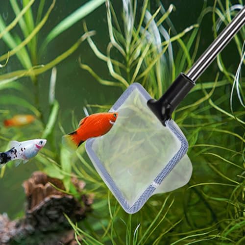 Patapalooza 5-in-1-Aquarien-Reinigungsset – enthält Bürsten, Schwämme, Schaber und Siphon; ideal für die effiziente Pflege und Reinigung von Aquarien. Patapalooza 5-in-1-Aquarien-Reinigungsset – enthält Bürsten, Schwämme, Schaber und Siphon; ideal für die effiziente Pflege und Reinigung von Aquarien. von Patapalooza