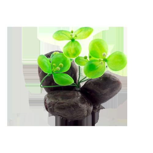 Patapalooza Dekorativer Baum für Aquarien – Robustes Material, natürliches Design, ideal für die Schaffung von Unterkünften und Verstecken für Fische. Patapalooza Dekorativer Baum für Aquarien – Robustes Material, natürliches Design, ideal für die Schaffung von Unterkünften und Verstecken für Fische. von Patapalooza