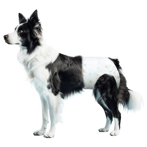 Patapalooza Einwegwindeln für weibliche Hunde, L (49 x 33 cm), 10 Stück, ideal für Inkontinenz und Schutz auf Reisen. von Patapalooza