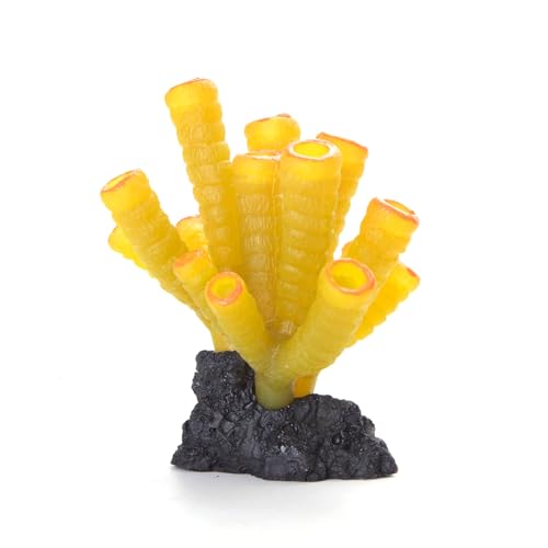 Patapalooza Fluoreszierende Korallen mit lebendigen Farben, robust und pflegeleicht, ideal für Aquarien und Dekoration von Meeraquarien. Patapalooza Fluoreszierende Korallen mit lebendigen Farben, robust und pflegeleicht, ideal für Aquarien und Dekoration von Meeraquarien. von Patapalooza