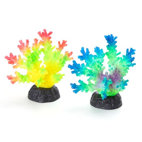 Patapalooza Fluoreszierende Korallen: Leuchtende Farben, UV-Beleuchtung, pflegeleicht, ideal für Aquarien, Dekoration und Meerstudios. Patapalooza Fluoreszierende Korallen: Leuchtende Farben, UV-Beleuchtung, pflegeleicht, ideal für Aquarien, Dekoration und Meerstudios. von Patapalooza
