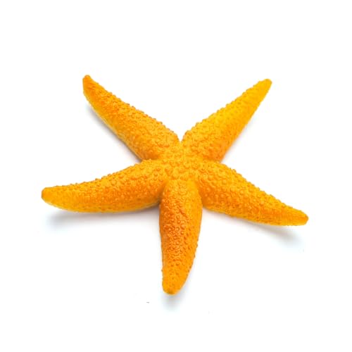 Patapalooza Fluoreszierender Seestern, Lichtdesign, ideal für Wasserdekoration und visuelle Effekte in Aquarien. Patapalooza Fluoreszierender Seestern, Lichtdesign, ideal für Wasserdekoration und visuelle Effekte in Aquarien. von Patapalooza