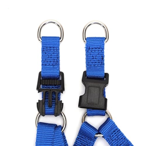 Patapalooza Geschirr aus künstlichem Nylon, robust und verstellbar, ideal für Training und Spaziergänge mit Haustieren. von Patapalooza