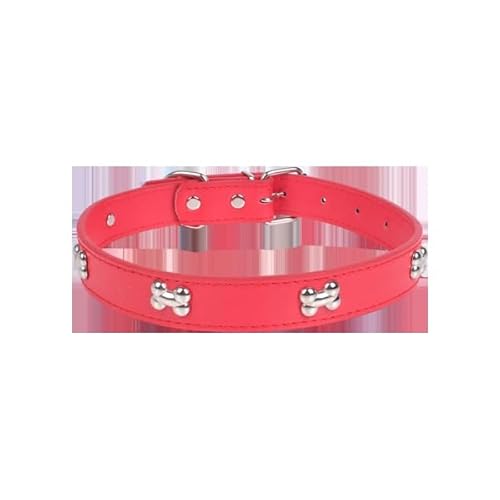 Patapalooza Halsband aus Metall in Knochenform, langlebig und verstellbar, ideal für die Kontrolle und Spaziergänge mit Haustieren. von Patapalooza