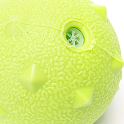 Patapalooza Hundespielzeug, Rauten-Design, Robustes Material, beschichtet, ideal für Spiele und Hundeübungen. Patapalooza Hundespielzeug, Rauten-Design, Robustes Material, beschichtet, ideal für Spiele und Hundeübungen. von Patapalooza