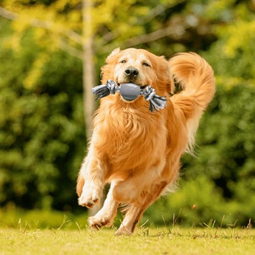 Patapalooza Hundespielzeug aus Baumwollseil und TPR-Ball, ideal zum Kauen und Spielen, fördert Bewegung und Zahngesundheit. Patapalooza Hundespielzeug aus Baumwollseil und TPR-Ball, ideal zum Kauen und Spielen, fördert Bewegung und Zahngesundheit. von Patapalooza