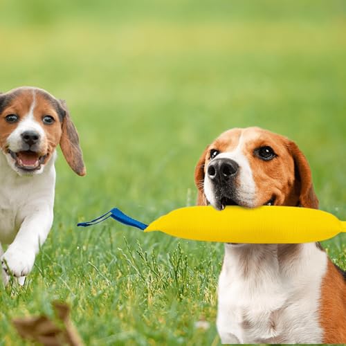 Patapalooza Kauspielzeug für Hunde, robust, geeignet für alle Rassen, fördert die Zahngesundheit und lindert Stress bei Haustieren. von Patapalooza