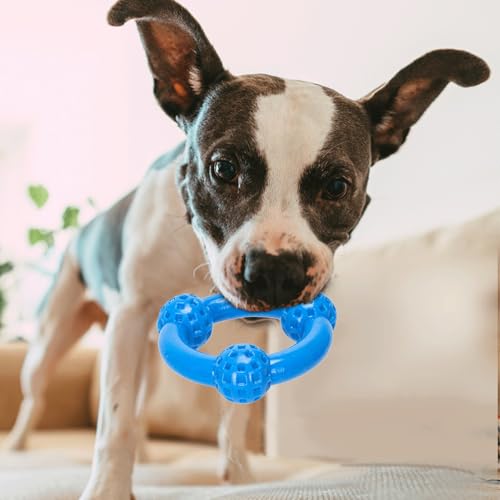 Patapalooza Kauspielzeug für Hunde, robust, gummiert, strukturiert, ideal zum Stressabbau und zur Verbesserung der Zahngesundheit. Patapalooza Kauspielzeug für Hunde, robust, gummiert, strukturiert, ideal zum Stressabbau und zur Verbesserung der Zahngesundheit. von Patapalooza