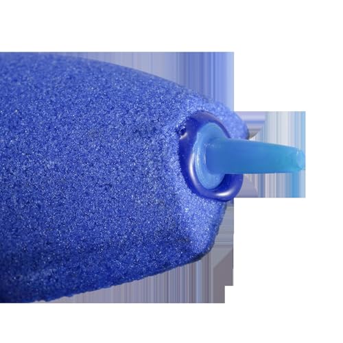 Patapalooza Luftdiffusor mit Muschel-Design, blau, ideal zur Verbesserung der Luftqualität und zum Aromatisieren von Räumen. von Patapalooza