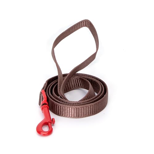 Patapalooza Mehrfarbige Nylonbänder, Set mit 4 Stück, robust und vielseitig, ideal für Befestigungen, Basteln und Outdoor-Aktivitäten. von Patapalooza