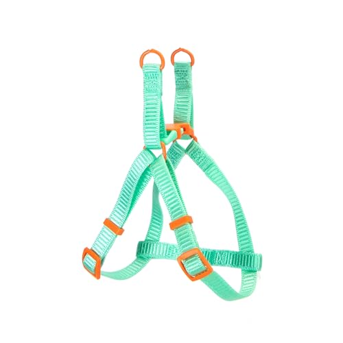 Patapalooza Mehrfarbiges Nylongeschirr, 4er-Pack, robust und verstellbar, ideal für Training und Spaziergänge mit Haustieren. von Patapalooza