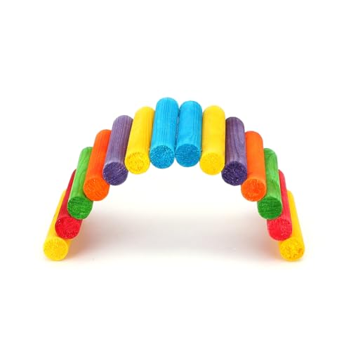 Patapalooza Regenbogen-Hamsterbrücke: Sichere Struktur, helle Farben, einfach zu montieren; ideal zur Förderung des Trainings und des Spielens im Käfig. von Patapalooza