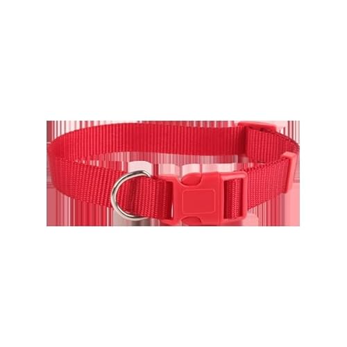 Patapalooza Robustes, verstellbares und leichtes Halsband, ideal für das Training von Haustieren und sicheren Spaziergängen. von Patapalooza