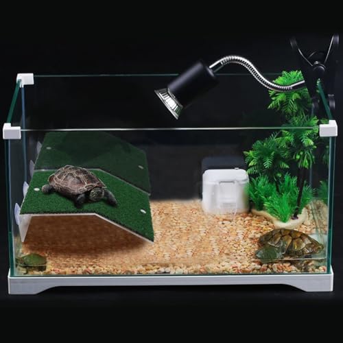 Patapalooza Schildkrötentreppe mit tragbarem Design, robuste und rutschfeste Struktur; ideal für den einfachen Zugang zu Teichen und Aquarien. von Patapalooza