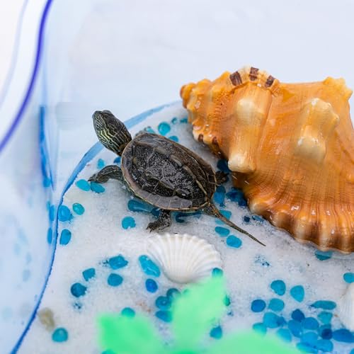 Patapalooza Wasserdichter Schildkrötenbezug, leicht und robust, ideal zum Schutz und Transport von Ausrüstung bei Outdoor-Aktivitäten. von Patapalooza