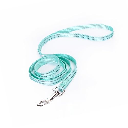 Reflektierende Hundeleine aus Nylon, robust und leicht, ideal für nächtliche Spaziergänge und verbessert die Sichtbarkeit und Sicherheit. Reflektierende Hundeleine aus Nylon, robust und leicht, ideal für nächtliche Spaziergänge und verbessert die Sichtbarkeit und Sicherheit. von Patapalooza