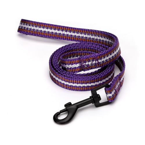 Reflektierende Hundeleine aus Nylon mit hoher Festigkeit und Sichtbarkeit, ideal für sichere Spaziergänge und nächtliches Training. von Patapalooza