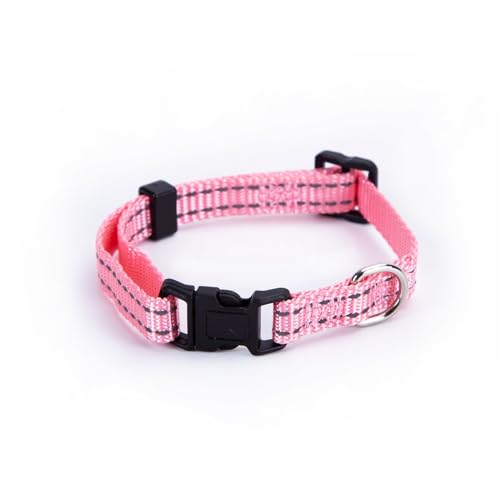 Reflektierendes Hundehalsband, Nylon-Imitat, robust, verstellbar, verbessert Sichtbarkeit und Sicherheit bei Nachtspaziergängen. von Patapalooza