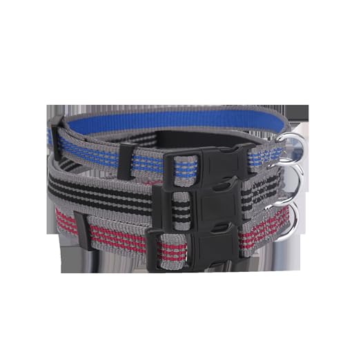 Reflektierendes Hundehalsband mit bequemer Passform, robustem Material und leuchtenden Nähten, verhindert Unfälle und verbessert die Sichtbarkeit bei Nacht. Reflektierendes Hundehalsband mit bequemer Passform, robustem Material und leuchtenden Nähten, verhindert Unfälle und verbessert die Sichtbarkeit bei Nacht. von Patapalooza