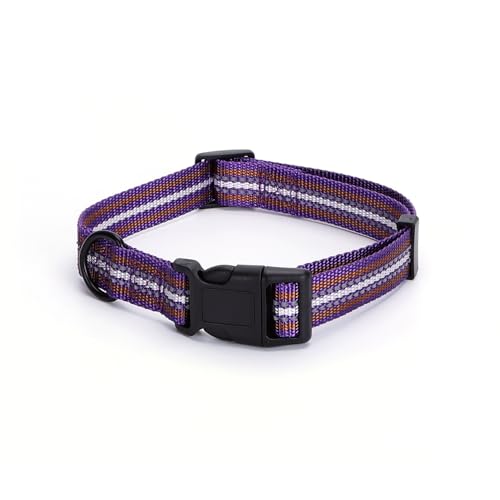 Reflektierendes Nylon-Hundehalsband, robust und verstellbar, ideal für Sicherheit bei nächtlichen Spaziergängen und Aktivitäten im Freien. Reflektierendes Nylon-Hundehalsband, robust und verstellbar, ideal für Sicherheit bei nächtlichen Spaziergängen und Aktivitäten im Freien. von Patapalooza