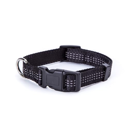 Reflektierendes Nylon-Hundehalsband, robust und verstellbar, ideal für nächtliche Spaziergänge und bessere Sichtbarkeit. Reflektierendes Nylon-Hundehalsband, robust und verstellbar, ideal für nächtliche Spaziergänge und bessere Sichtbarkeit. von Patapalooza