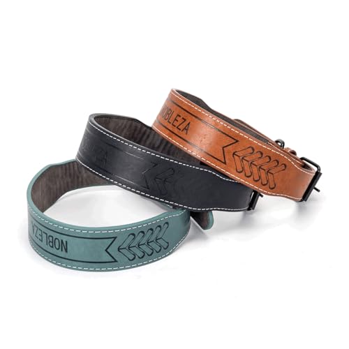 Robustes PU-Hundehalsband, verstellbar und leicht, ideal für sichere und Bequeme Spaziergänge im Freien. von Patapalooza