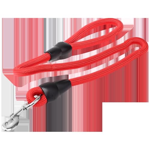 Robustes und verstellbares Hundehalsband, ideal für Spaziergänge und Training, sorgt für Komfort und Sicherheit. von Patapalooza