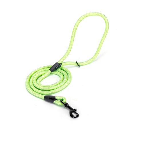 Runde Hundeleine, langlebig und robust, ideal für Spaziergänge und Training mit Haustieren. Runde Hundeleine, langlebig und robust, ideal für Spaziergänge und Training mit Haustieren. von Patapalooza