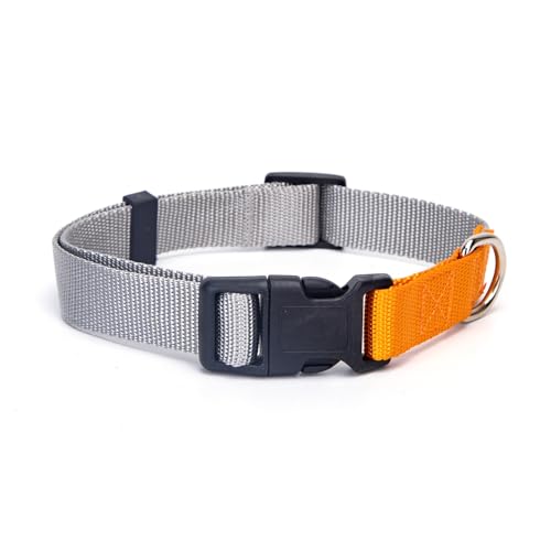 Verstellbares Hundehalsband, robust und bequem, ideal für Spaziergänge, Training und Tiersicherheit. von Patapalooza