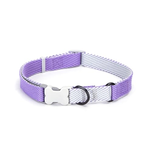 Verstellbares Hundehalsband mit Sicherheitsschnalle und reflektierender Schnalle, ideal für Spaziergänge, Training und Sicherheit. von Patapalooza