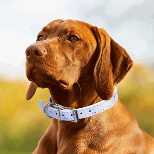 Welliges Halsband aus PU-Leder für Hunde, Robustes Material, Komfortables Design, ideal für Spaziergänge und Kontrolle von Haustieren. von Patapalooza