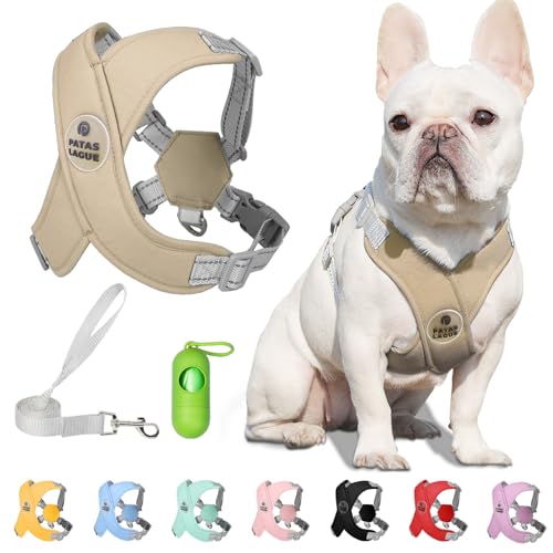 Patas Lague Hundegeschirr mit Leine, verstellbar, weich gepolstert, kein Würgen, kein Ziehen, reflektierend, für kleine Haustiere, mit Kotbeuteln und Spender, solide und kaufrei, Braun, Größe XS Patas Lague Hundegeschirr mit Leine, verstellbar, weich gepolstert, kein Würgen, kein Ziehen, reflektierend, für kleine Haustiere, mit Kotbeuteln und Spender, solide und kaufrei, Braun, Größe XS von Patas Lague