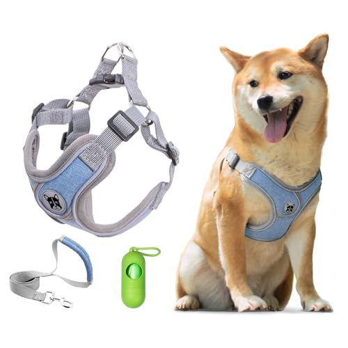 Patas Lague Hundegeschirr mit Leine, Set für kleine und mittelgroße Hunde, kein Ziehen, kein Würgen, reflektierend, mit Kotbeuteln und Spender, verstellbar und gepolstert, Blau, Größe M Patas Lague Hundegeschirr mit Leine, Set für kleine und mittelgroße Hunde, kein Ziehen, kein Würgen, reflektierend, mit Kotbeuteln und Spender, verstellbar und gepolstert, Blau, Größe M von Patas Lague