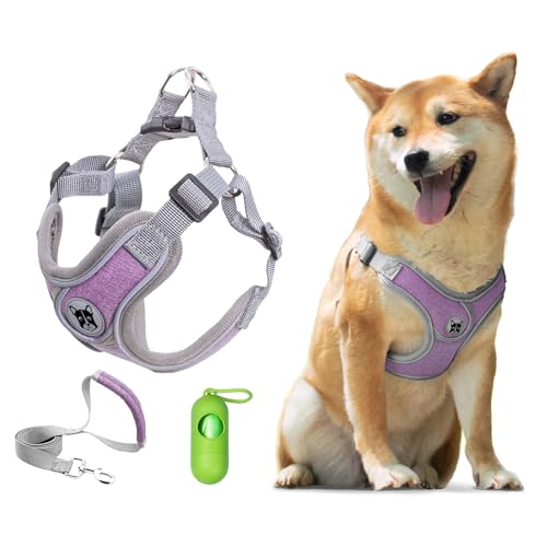 Patas Lague Hundegeschirr mit Leine, Set für kleine und mittelgroße Hunde, kein Ziehen, kein Würgen, reflektierend, mit Kotbeuteln und Spender, verstellbar und gepolstert, Lila, Größe M Patas Lague Hundegeschirr mit Leine, Set für kleine und mittelgroße Hunde, kein Ziehen, kein Würgen, reflektierend, mit Kotbeuteln und Spender, verstellbar und gepolstert, Lila, Größe M von Patas Lague