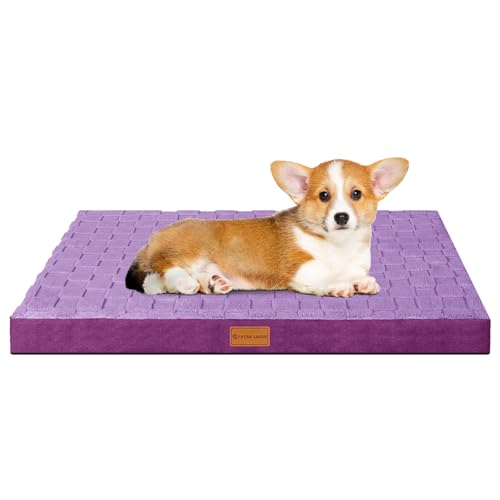 Patas Lague Kariertes orthopädisches Hundebett für kleine Hunde, 50,8 x 38,1 cm, wasserdicht, kleine Hundebetten mit abnehmbarem, waschbarem Bezug, Schaumstoff-Haustierbettmatte mit rutschfester Patas Lague Kariertes orthopädisches Hundebett für kleine Hunde, 50,8 x 38,1 cm, wasserdicht, kleine Hundebetten mit abnehmbarem, waschbarem Bezug, Schaumstoff-Haustierbettmatte mit rutschfester von Patas Lague