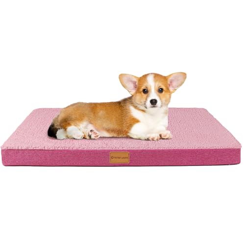 Patas Lague Orthopädisches Hundebett für kleine Hunde, weich, bequem, wasserdicht, Schaumstoffmatte für kleine Haustiere, Matte mit abnehmbarem, waschbarem Bezug, 50,8 x 38,1 cm, Rosa Patas Lague Orthopädisches Hundebett für kleine Hunde, weich, bequem, wasserdicht, Schaumstoffmatte für kleine Haustiere, Matte mit abnehmbarem, waschbarem Bezug, 50,8 x 38,1 cm, Rosa von Patas Lague