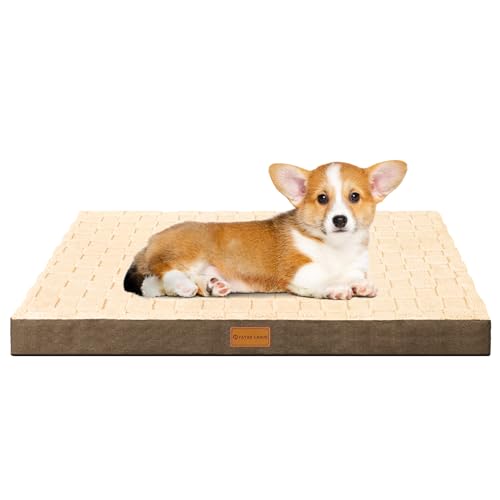 Patas Lague Orthopädisches Hundebett für kleine Hunde, wasserdicht, weich, warm, bequem, Schaumstoff, für kleine Haustiere, Matte mit abnehmbarem waschbarem Bezug und rutschfester Unterseite, 50,8 x Patas Lague Orthopädisches Hundebett für kleine Hunde, wasserdicht, weich, warm, bequem, Schaumstoff, für kleine Haustiere, Matte mit abnehmbarem waschbarem Bezug und rutschfester Unterseite, 50,8 x von Patas Lague