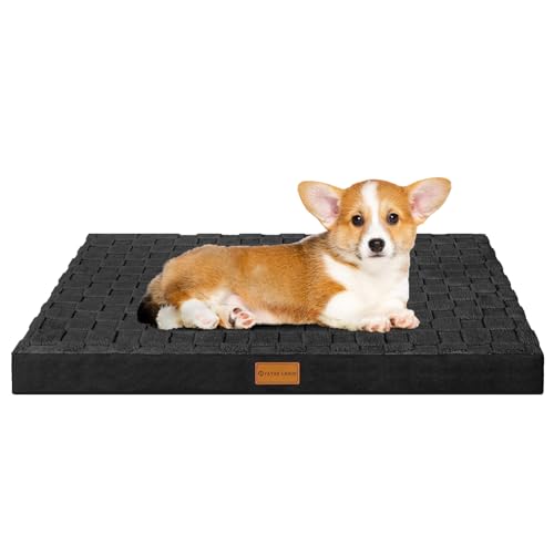 Patas Lague Orthopädisches Hundebett für kleine Hunde, wasserdicht, weich, warm, bequem, Schaumstoff-Matte für kleine Haustiere, mit abnehmbarem waschbarem Bezug und rutschfester Unterseite, 50,8 x Patas Lague Orthopädisches Hundebett für kleine Hunde, wasserdicht, weich, warm, bequem, Schaumstoff-Matte für kleine Haustiere, mit abnehmbarem waschbarem Bezug und rutschfester Unterseite, 50,8 x von Patas Lague