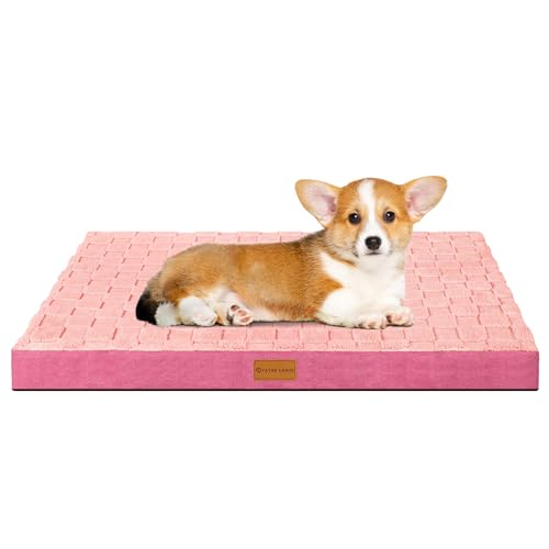 Patas Lague Orthopädisches Hundebett für kleine Hunde, wasserdicht, weich, warm, bequem, Schaumstoffmatte für kleine Haustiere, mit abnehmbarem, waschbarem Bezug und rutschfester Unterseite, 50,8 x Patas Lague Orthopädisches Hundebett für kleine Hunde, wasserdicht, weich, warm, bequem, Schaumstoffmatte für kleine Haustiere, mit abnehmbarem, waschbarem Bezug und rutschfester Unterseite, 50,8 x von Patas Lague
