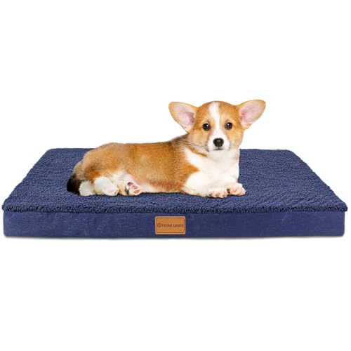 Patas Lague Orthopädisches Hundebett für kleine Hunde, weich, bequem, wasserdicht, Schaumstoffmatte für kleine Haustiere, Matte mit abnehmbarem, waschbarem Bezug, 50,8 x 38,1 cm, Marineblau Patas Lague Orthopädisches Hundebett für kleine Hunde, weich, bequem, wasserdicht, Schaumstoffmatte für kleine Haustiere, Matte mit abnehmbarem, waschbarem Bezug, 50,8 x 38,1 cm, Marineblau von Patas Lague