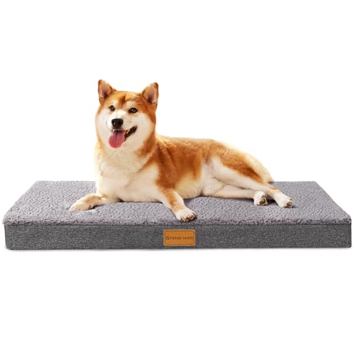 Patas Lague Orthopädisches Hundebett für mittelgroße Hunde, 91,4 x 61 cm, weich, bequem, Schaumstoff, mittelgroße Hundebetten, wasserdichte Haustierbettmatte mit abnehmbarem, waschbarem Bezug, Grau Patas Lague Orthopädisches Hundebett für mittelgroße Hunde, 91,4 x 61 cm, weich, bequem, Schaumstoff, mittelgroße Hundebetten, wasserdichte Haustierbettmatte mit abnehmbarem, waschbarem Bezug, Grau von Patas Lague