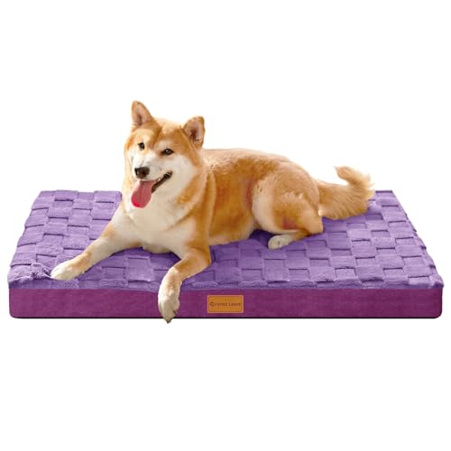 Patas Lague Orthopädisches Hundebett für mittelgroße Hunde, wasserdicht, weich, warm, bequem, Schaumstoff-Matte mit abnehmbarem waschbarem Bezug und rutschfester Unterseite, 76,2 x 50,8 cm, Violett Patas Lague Orthopädisches Hundebett für mittelgroße Hunde, wasserdicht, weich, warm, bequem, Schaumstoff-Matte mit abnehmbarem waschbarem Bezug und rutschfester Unterseite, 76,2 x 50,8 cm, Violett von Patas Lague