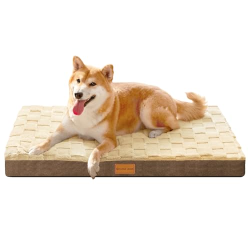 Patas Lague Orthopädisches Hundebett für mittelgroße Hunde, wasserdicht, weich, warm, bequem, Schaumstoff-Matte mit abnehmbarem waschbarem Bezug und rutschfester Unterseite, 76,2 x 50,8 cm, Braun Patas Lague Orthopädisches Hundebett für mittelgroße Hunde, wasserdicht, weich, warm, bequem, Schaumstoff-Matte mit abnehmbarem waschbarem Bezug und rutschfester Unterseite, 76,2 x 50,8 cm, Braun von Patas Lague