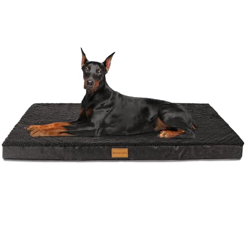 Patas Lague Orthopädisches Jumbo-Hundebett für extra große Hunde, 142 x 101 cm, weich, bequem, wasserdicht, Schaumstoff, Jumbo-Haustierbett-Matte mit abnehmbarem, waschbarem Bezug, Schwarz Patas Lague Orthopädisches Jumbo-Hundebett für extra große Hunde, 142 x 101 cm, weich, bequem, wasserdicht, Schaumstoff, Jumbo-Haustierbett-Matte mit abnehmbarem, waschbarem Bezug, Schwarz von Patas Lague