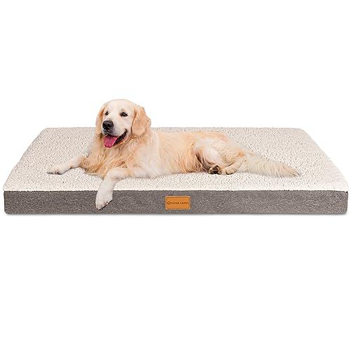Patas Lague Orthopädisches XXL-Hundebett für extra große Hunde, 121,9 x 76,2 cm, weich, bequem, wasserdicht, Eierkisten-Schaumstoff-Matte mit abnehmbarem, waschbarem Bezug, elfenbeinfarben Patas Lague Orthopädisches XXL-Hundebett für extra große Hunde, 121,9 x 76,2 cm, weich, bequem, wasserdicht, Eierkisten-Schaumstoff-Matte mit abnehmbarem, waschbarem Bezug, elfenbeinfarben von Patas Lague