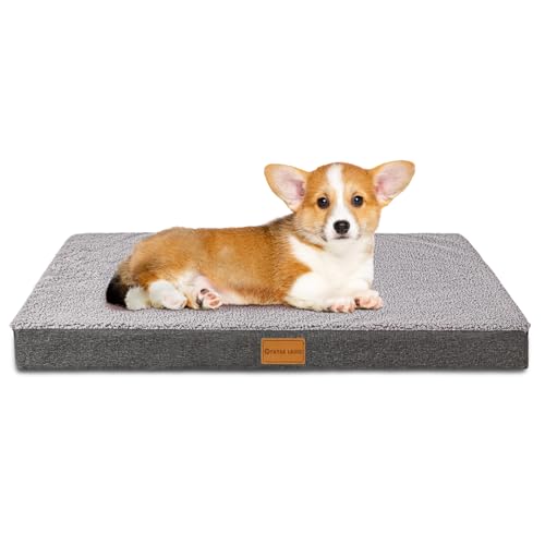 Patas Lague Orthopädisches kleines Hundebett, 50 x 38 cm, weich, bequem, Schaumstoff, Haustierbett für kleine Hunde, wasserdicht, mit abnehmbarem, waschbarem Bezug, Grau von Patas Lague