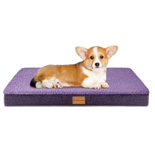 Patas Lague Orthopädisches kleines Hundebett, weich, bequem, wasserdicht, Schaumstoff, kleines Haustierbett mit abnehmbarem, waschbarem Bezug, 50 x 38 cm, Violett Patas Lague Orthopädisches kleines Hundebett, weich, bequem, wasserdicht, Schaumstoff, kleines Haustierbett mit abnehmbarem, waschbarem Bezug, 50 x 38 cm, Violett von Patas Lague